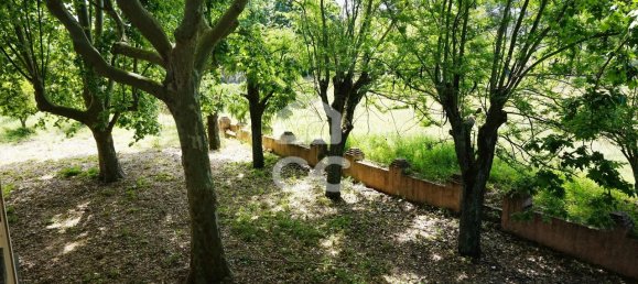 9 bedrooms House in Tramagal, Portugal No. 29947 27