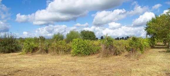 4 غرف نوم منزل في Montepulciano, Italy رقم 114303 10
