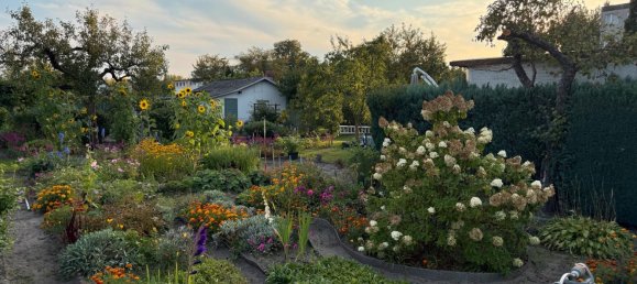 Terreno em Oder-Spree, Germany N.º 289670 9
