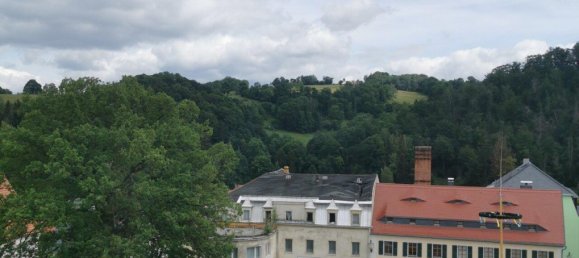 2 غرف نوم شقة في Sachsische Schweiz-Osterzgebirge, Germany رقم 153069 4