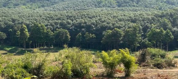 Terreno en Chiang Rai, Thailand No. 25134 6