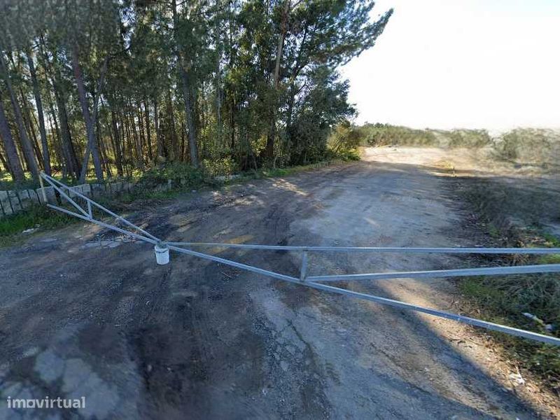 11500m² Land in Vila de Prado, Portugal No. 343569