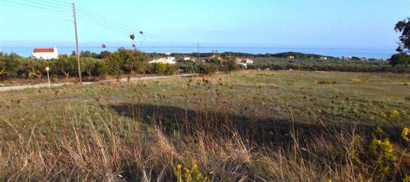  Hotel in Zakynthos, Greece No. 8830 5