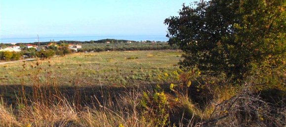  Hotel in Zakynthos, Greece No. 8830 14