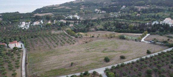  Hotel in Zakynthos, Greece No. 8830 3