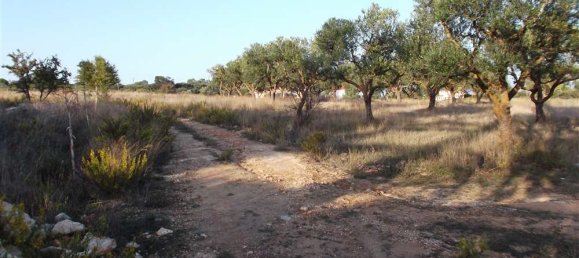  Hotel in Zakynthos, Greece No. 8830 23