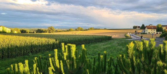 3 غرف نوم تاون هاوس في Luftenberg an der Donau, Austria رقم 136057 3