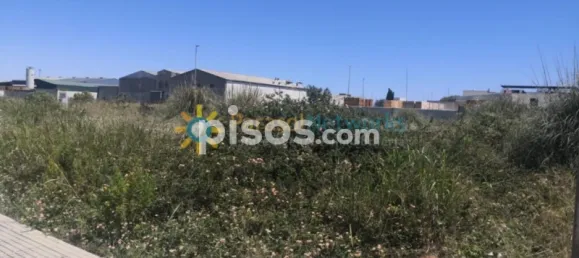  Land in Daimus, Spain No. 138215 2