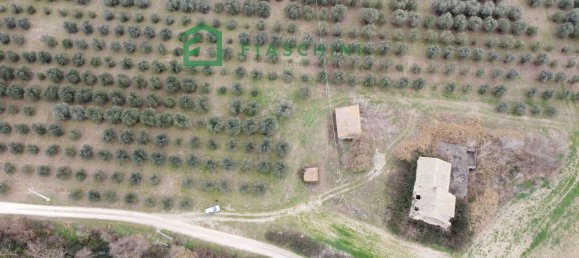Terreno em Giove, Italy 1130000 m² N.º 132053 19