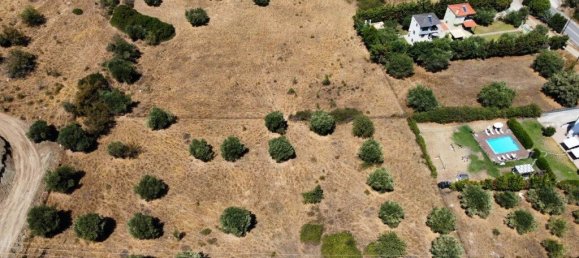 Hôtel à Chalkidiki, Greece 4350m² No. 1897 5