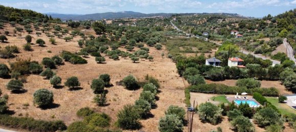 Hôtel à Chalkidiki, Greece 4350m² No. 1897 7