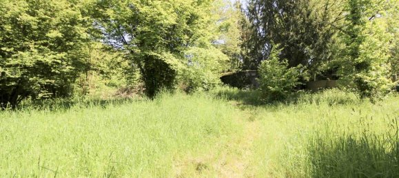 Terrain à Montbouy, France 2155m² No. 66362 3