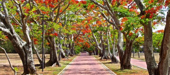 3 bedrooms Apartment in Grand Baie, Mauritius No. 184 5