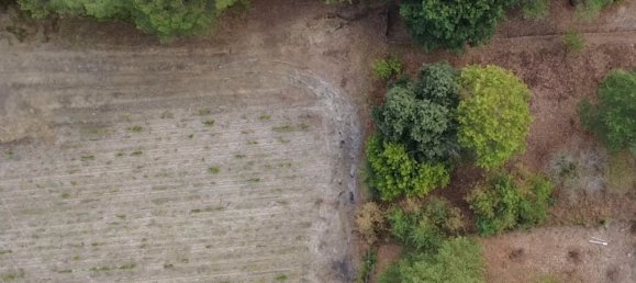 Terreno em Listrac-Medoc, France 1997 m² N.º 337779 2