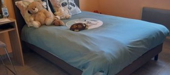 3 غرف نوم فيلا في Lecci, France رقم 357056 7