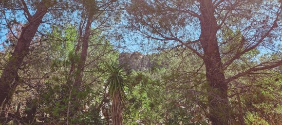 3 bedrooms House in Roquetes, Spain No. 172225 14