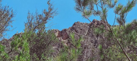 3 bedrooms House in Roquetes, Spain No. 172225 16