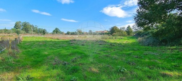  Land in Canas de Santa Maria, Portugal No. 190391 4