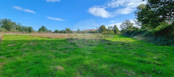  Land in Canas de Santa Maria, Portugal No. 190391 5