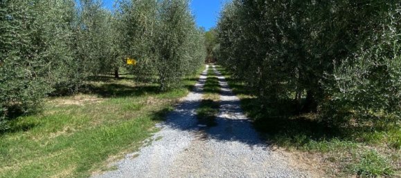 6 chambres Maison à Bagnoregio, Italy No. 357663 38