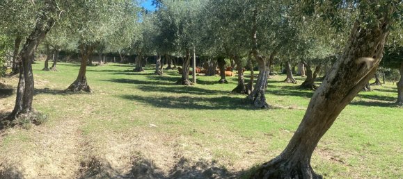 6 chambres Maison à Bagnoregio, Italy No. 357663 37