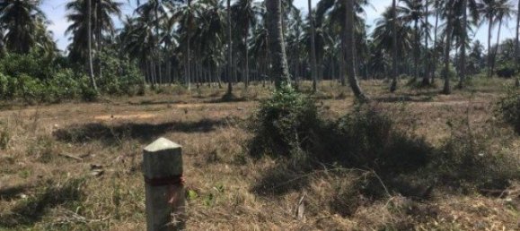  Commercial property in Khok Kloi, Thailand No. 12652 4