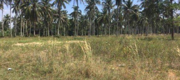  Commercial property in Khok Kloi, Thailand No. 12652 3