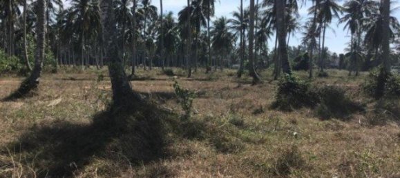  Commercial property in Khok Kloi, Thailand No. 12652 2