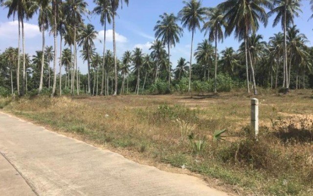  Commercial property in Khok Kloi, Thailand No. 12652