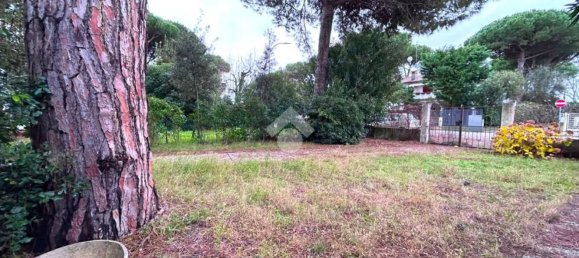 4-Zimmer Wohnung in Comacchio, Italy, Nr. 100604 4