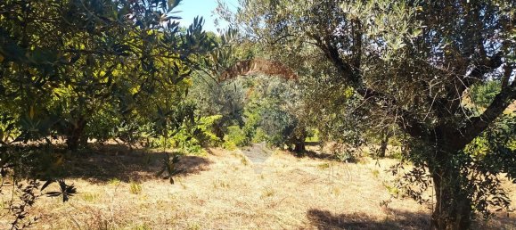 2 bedrooms House in Aguas Belas, Portugal No. 185392 9