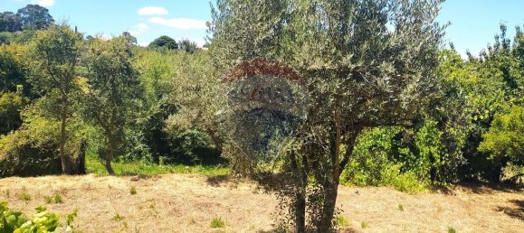 2 bedrooms House in Aguas Belas, Portugal No. 185392 6