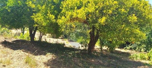 2 bedrooms House in Aguas Belas, Portugal No. 185392 8