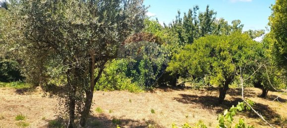 2 bedrooms House in Aguas Belas, Portugal No. 185392 5