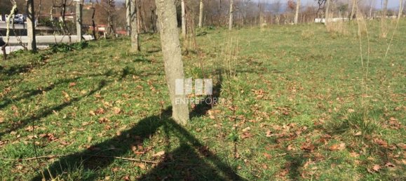 Terreno en Marco de Canaveses, Portugal 2120 m² No. 59547 2