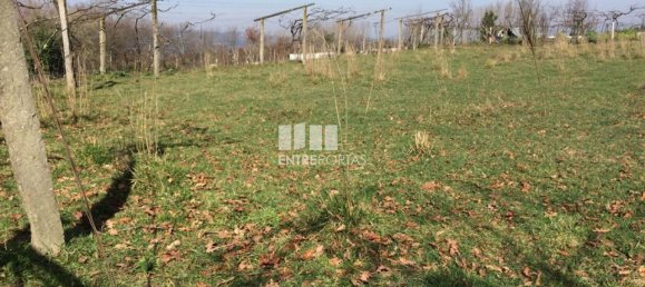 Terreno en Marco de Canaveses, Portugal 2120 m² No. 59547 15