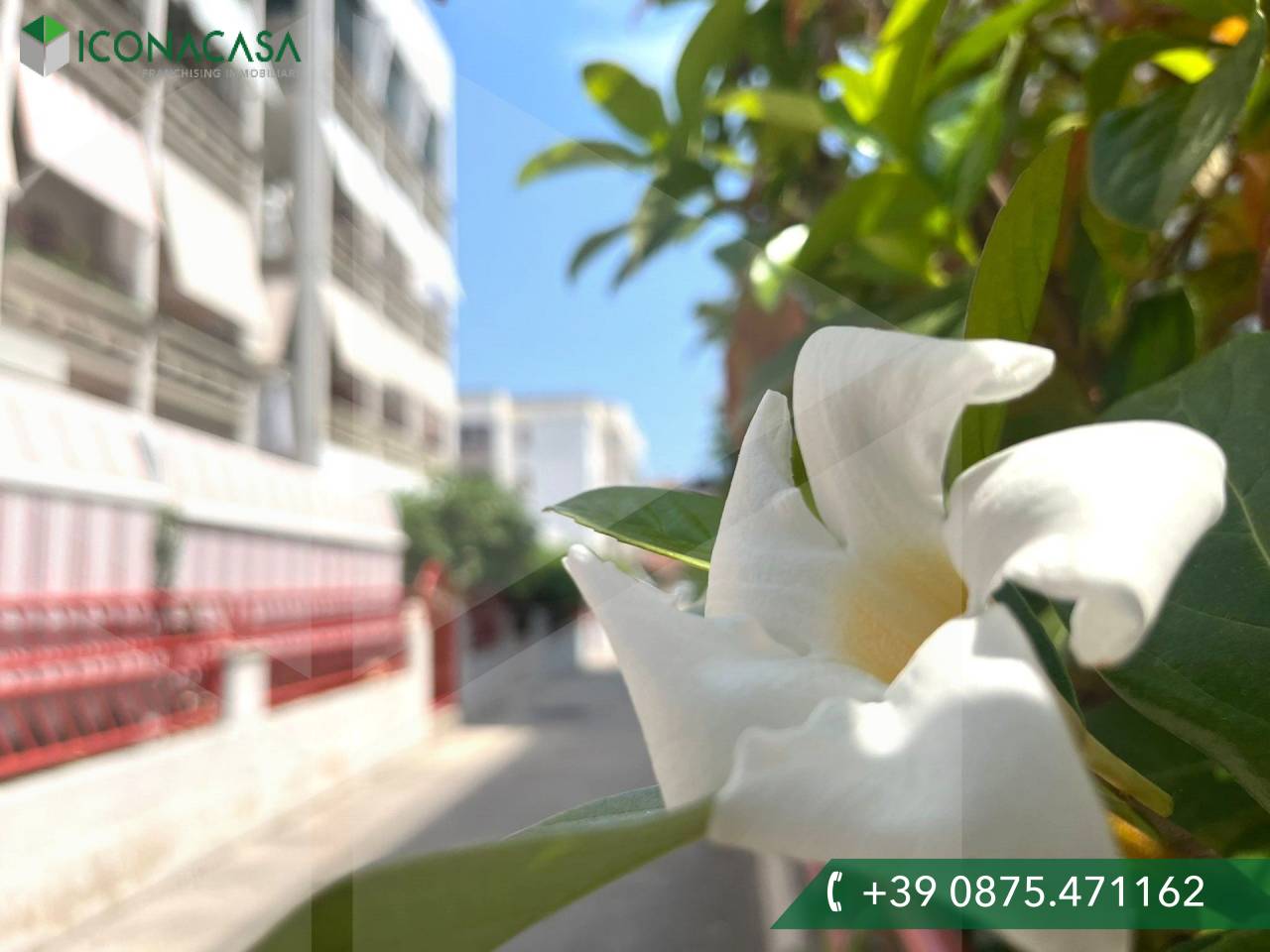 3 rooms Apartment in Campomarino, Italy No. 22697