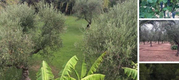 6 bedrooms House in Taranto, Italy No. 682 8