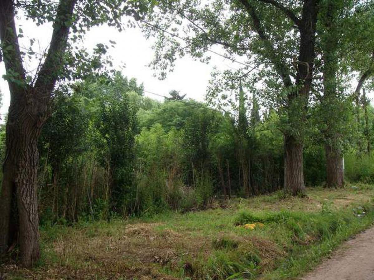 Земельный участок в Мальвинас Архентинас, Аргентина № 37718