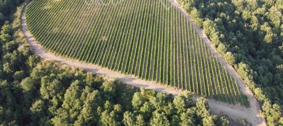 36 rooms Villa in Cortona, Italy No. 142050 32