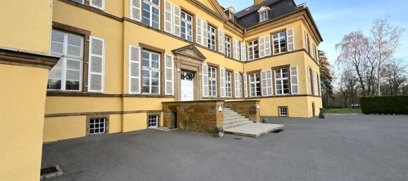 Вилла с 40 комнатами в Варендорф, Германия № 47523 16