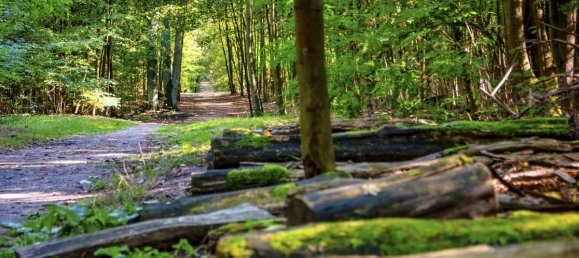 2-salle Appartement à Zehlendorf, Germany No. 272271 19