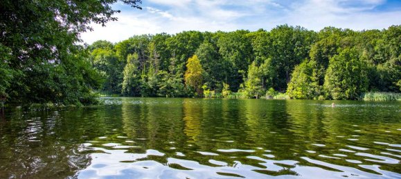 2-salle Appartement à Zehlendorf, Germany No. 272271 14