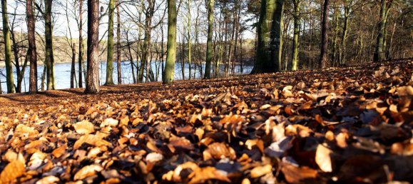 2-salle Appartement à Zehlendorf, Germany No. 272271 13