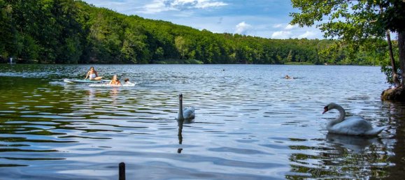 2-salle Appartement à Zehlendorf, Germany No. 272271 11