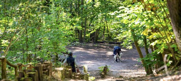 2-salle Appartement à Zehlendorf, Germany No. 272271 17