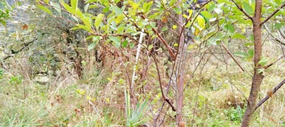 2 bedrooms Apartment in Noli, Italy No. 372372 5