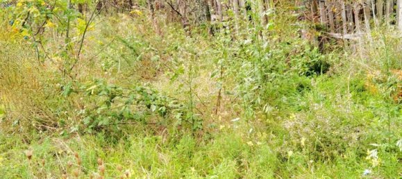 2 bedrooms Apartment in Noli, Italy No. 372372 6