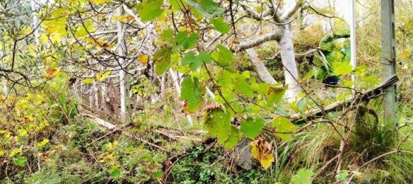 2 bedrooms Apartment in Noli, Italy No. 372372 4