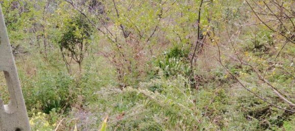 2 bedrooms Apartment in Noli, Italy No. 372372 3